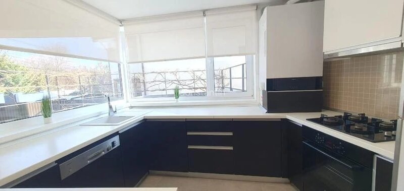 Titu Maiorescu, Voluntari Pipera, Ilfov